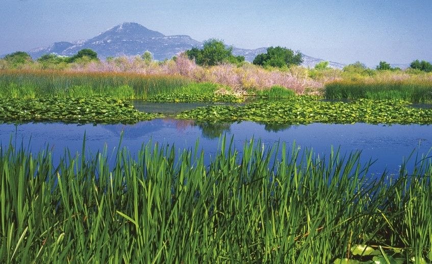 What Is A Ramsar Wetland Worldatlas Com vrogue.co