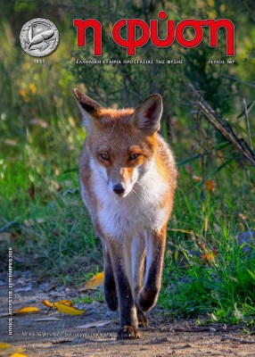 περιοδικό "η φύση" - Τεύχος 167, Ιούλιος - Σεπτέμβριος 2020