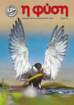 Εξώφυλλο περιοδικού "η φύση", τεύχος 168 - Οκτώβριος 2020 - Μάρτιος 2021